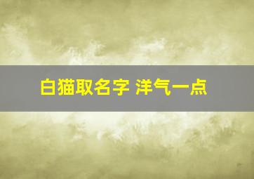 白猫取名字 洋气一点